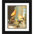 thumbnail image 1 of W. A . Blakston 15x18 Black Ornate Wood Framed Double Matted Museum Art Print Titled - London Fancy Canaries (1878), 1 of 5