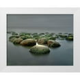 thumbnail image 1 of W. Chen, Janice 18x15 White Modern Wood Framed Museum Art Print Titled - Bowling Ball Beach, 1 of 4