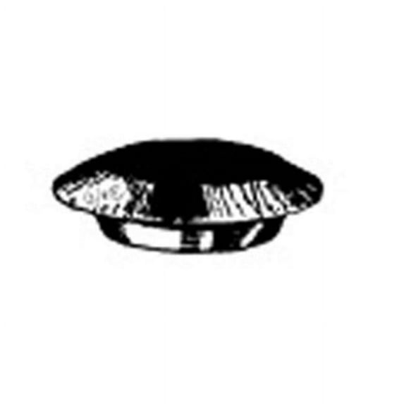 W & E Sales 2722 Hole Plugs, Flush Type, 0.25 in., Package Of 100
