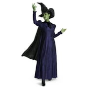 Wicked Elphaba Deluxe Adult Costume Costume for Adults, M (8/10)