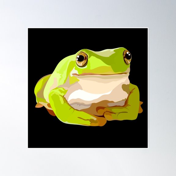 W Is For Whites Tree Frog Poster Wall Art, Modern Wall Decor, 16x16 UNFRAMED