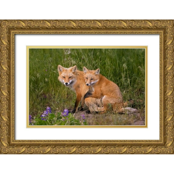 W, Joanna 18x13 Gold Ornate Wood Framed with Double Matting Museum Art Print Titled - Love