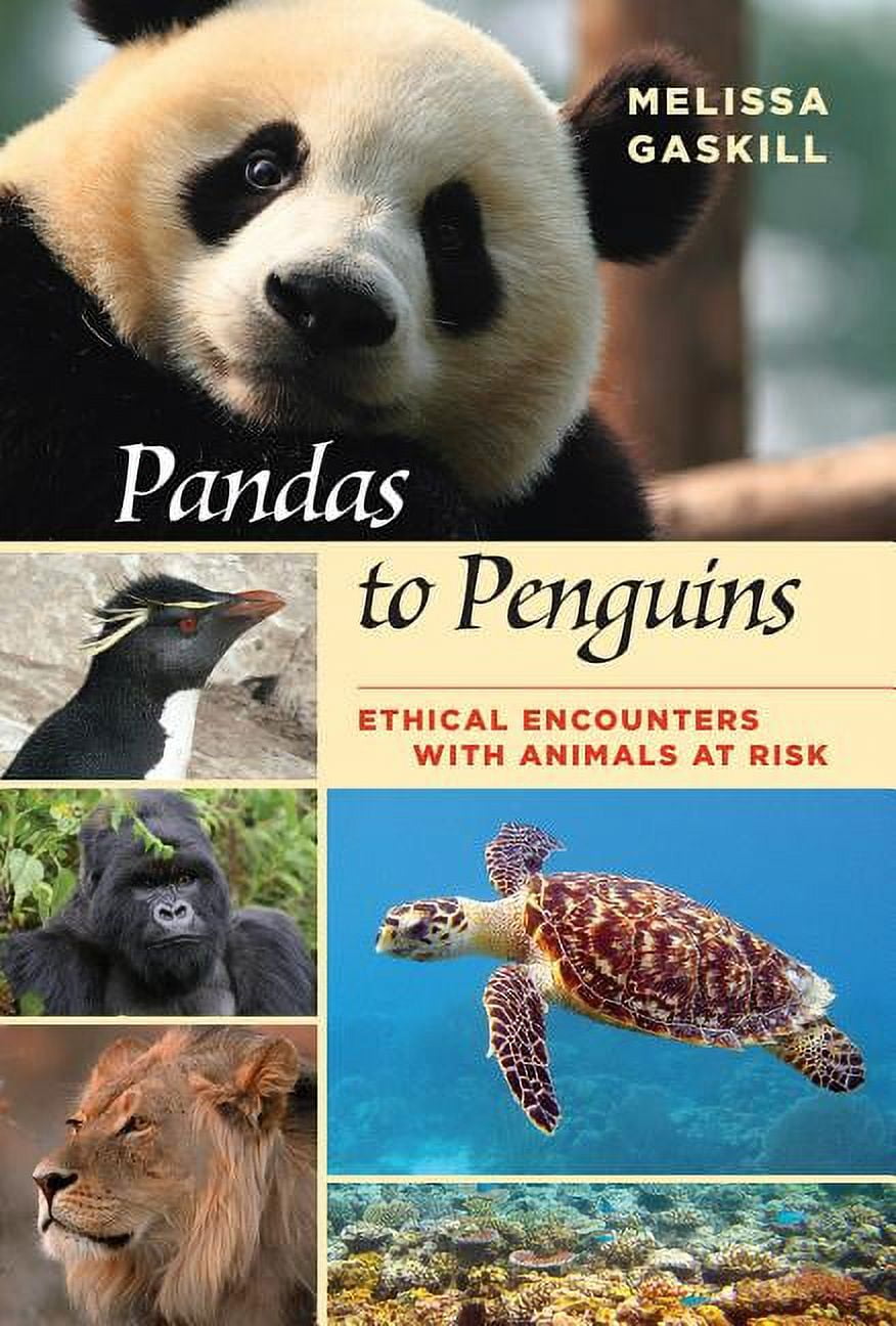 Pandas History Pandas History
