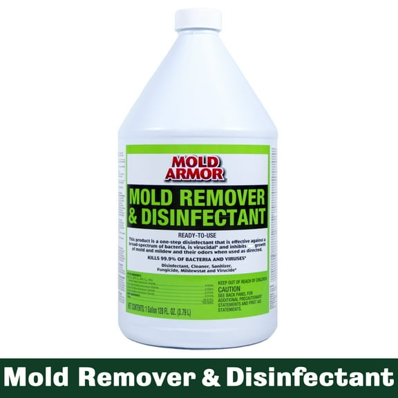 W M BARR & CO INC FG550 1G Pro Mold Remover / 1 EA