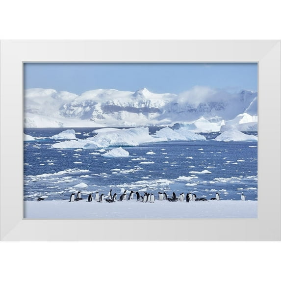 W Oletta 24x17 White Modern Wood Framed Museum Art Print Titled - By The Sea