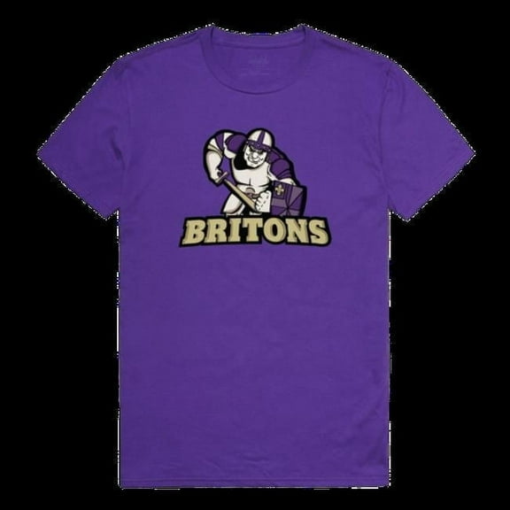 W Republic 506-497-PUR-03 Albion College Britons the Freshmen T-Shirt, Purple - Large