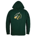 thumbnail image 1 of W Republic 512-678-FOR-05 Tiffin University Dragons the Freshman Hoodie, Forest Green - 2XL, 1 of 1
