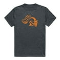 thumbnail image 1 of W Republic 519-708-HCH-03 Wartburg College Knights Cinder T-Shirt, Heather Charcoal - Large, 1 of 1