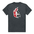 thumbnail image 1 of W Republic 519-709-HCH-03 Carthage College Firebirds Cinder T-Shirt, Heather Charcoal - Large, 1 of 1