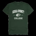 thumbnail image 1 of W Republic 526-493-FOR-03 Georgia Gwinnett Grizzlies College Seal T-Shirt, Forest - Large, 1 of 1