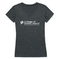 thumbnail image 1 of W Republic 529-676-HCH-04 College of Staten Island Dolphins Women Institutional T-Shirt, Heather Charcoal - Extra Large, 1 of 1