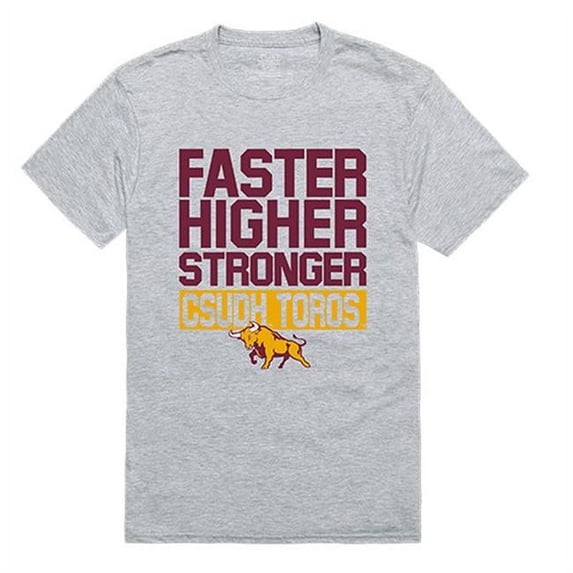W Republic 530-175-HGY-02 California State University Dominguez Hills Men Workout T-Shirt, Heather Grey - Medium