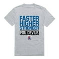 thumbnail image 1 of W Republic 530-300-HGY-05 Fairleigh Dickinson University Men Workout T-Shirt, Heather Grey - 2XL, 1 of 1