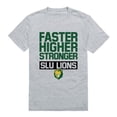 thumbnail image 1 of W Republic 530-385-HG2-02 Southeastern Louisiana University Lions Workout T-Shirt, Heather Grey - Medium, 1 of 1