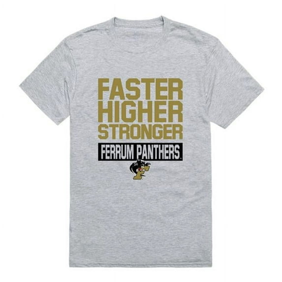 W Republic 530-452-HGY-03 NCAA Ferrum College Panthers Workout T-Shirt, Heather Gray - Large