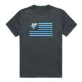thumbnail image 1 of W Republic 531-329-HCH-05 Long Island University Flag T-Shirt, Heather Charcoal 2 - 2XL, 1 of 1