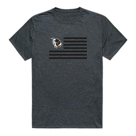 W Republic 531-379-HCH-01 Siena College Flag T-Shirt, Heather Charcoal 2 - Small