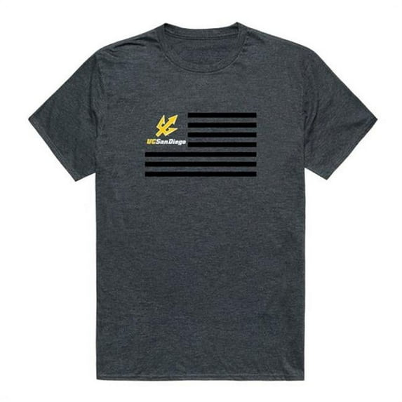 W Republic 531-445-HCH-01 University of California San Diego Men Flag T-Shirt, Heather Charcoal - Small