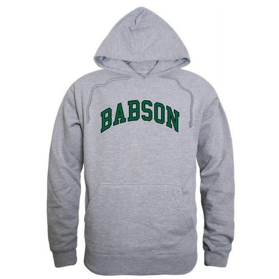 W Republic 540-263-HGY-04 Babson College Campus Hoodie, Heather Grey - Extra Large