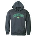 thumbnail image 1 of W Republic 540-350-HCH-03 Norfolk State University Men Campus Hoodie, Heather Charcoal - Large, 1 of 1