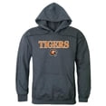 thumbnail image 1 of W Republic 540-370-HC2-03 Rochester Institute of Technology Men Campus Hoodie, Heather Charcoal - Large, 1 of 1