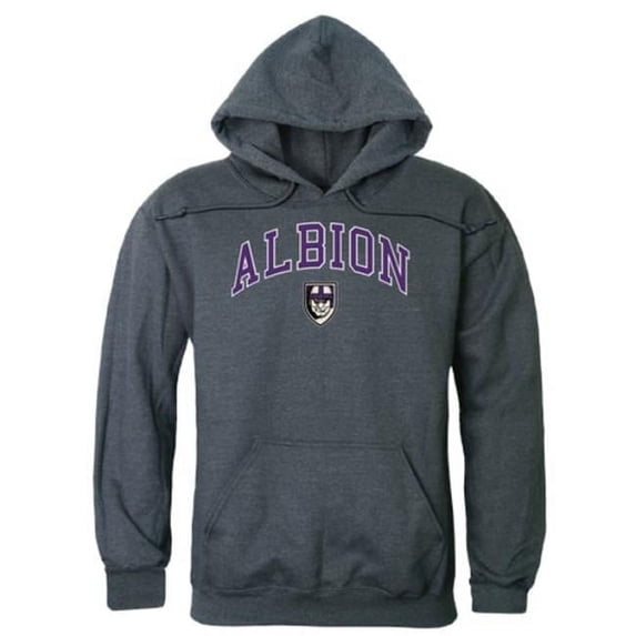 W Republic 540-497-HCH-02 Albion College Britons Campus Hoodie, Heather Charcoal - Medium