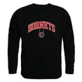 thumbnail image 1 of W Republic 541-179-BLK-05 University of Lynchburg Campus Crewneck T-Shirt, Black - 2XL, 1 of 1