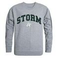 thumbnail image 1 of W Republic 541-324-HGY-03 South Carolina State University Campus Crewneck Sweatshirt, Heather Grey - Large, 1 of 1