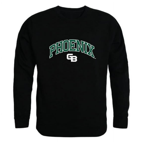 W Republic 541-397-BLK-02 University of Wisconsin-Green Bay Men Campus Crewneck Sweatshirt, Black - Medium
