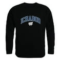 thumbnail image 1 of W Republic 541-431-BLK-04 Washburn University Men Campus Crewneck Sweatshirt, Black - Extra Large, 1 of 1