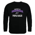 thumbnail image 1 of W Republic 545-723-BLK-05 Niagara University Purple Eagles Property of Crewneck Sweatshirt, Black - 2XL, 1 of 2