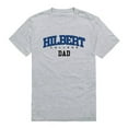 thumbnail image 1 of W Republic 548-652-HGY-01 Hilbert College Hawks Dad Short Sleeve T-Shirt, Heather Grey - Small, 1 of 1