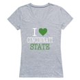 thumbnail image 1 of W Republic 550-632-HGY-05 Cincinnati State Technical & Community College I Love Women T-Shirt, Heather Grey - 2XL, 1 of 1
