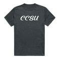 thumbnail image 1 of W Republic  Chaudhary Charan Singh University Script T-Shirt, Heather Charcoal 2 - Small, 1 of 1