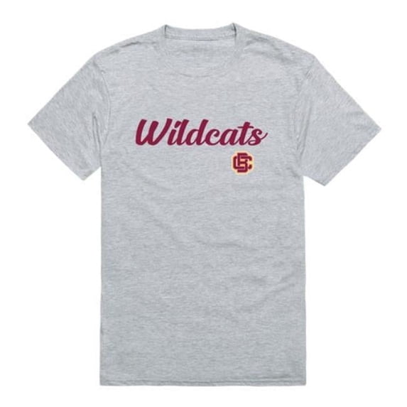 W Republic 554-692-HGY-04 Bethune-Cookman University Wildcats Script T-Shirt, Heather Grey - Extra Large