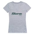 thumbnail image 1 of W Republic 555-324-HGY-02 Lake Erie College Script T-Shirt for Women, Heather Grey - Medium, 1 of 1