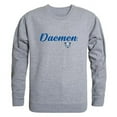 thumbnail image 1 of W Republic 556-513-HGY-03 Daemen University Wildcats Script Crewneck Sweatshirt, Heather Grey - Large, 1 of 1