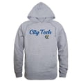 thumbnail image 1 of W Republic 558-664-HGY-03 New York City College of Technology Yellow Jackets Script Hoodie, Heather Grey - Large, 1 of 1