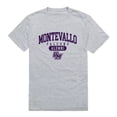 thumbnail image 1 of W Republic 559-551-HGY-01 University of Montevallo Falcons Alumni T-Shirt, Heather Grey - Small, 1 of 1