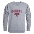 thumbnail image 1 of W Republic 560-284-HGY-03 Colorado Mesa University Mens Alumni Fleece T-Shirt, Heather Gray - Large, 1 of 1