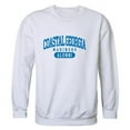 thumbnail image 1 of W Republic 560-484-WHT-01 College of Coastal Georgia Mariners Alumni Fleece Sweatshirt, White - Small, 1 of 1