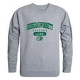 thumbnail image 1 of W Republic 560-493-HGY-03 Georgia Gwinnett College Grizzlies Alumni Fleece Sweatshirt, Heather Grey - Large, 1 of 1