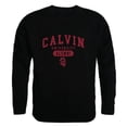 thumbnail image 1 of W Republic 560-507-BLK-02 Calvin University Knights Alumni Fleece Sweatshirt, Black - Medium, 1 of 1