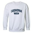 thumbnail image 1 of W Republic 560-702-WHT-01 Carson-Newman University Eagles Alumni Fleece Pullover Crewneck Sweatshirt, White - Small, 1 of 1