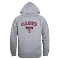 thumbnail image 1 of W Republic 561-284-HGY-04 Colorado Mesa University Mens Alumni Hoodie, Heather Gray - Extra Large, 1 of 1