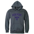 thumbnail image 1 of W Republic 561-311-HCH-02 Men High Point Panthers Alumni Hoodie, Heather Charcoal - Medium, 1 of 1