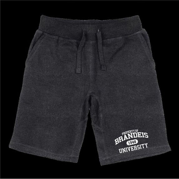 W Republic 566-619-HCH-04 Brandeis University Judges Property Shorts, Heather Charcoal - Extra Large