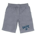 thumbnail image 1 of W Republic 567-474-HGY-03 Salve Regina University Seahawks Premium Shorts, Heather Grey - Large, 1 of 1