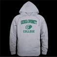 thumbnail image 1 of W Republic 569-493-HGY-03 Georgia Gwinnett College Grizzlies Seal Hoodie, Heather Grey - Large, 1 of 1