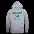 thumbnail image 1 of W Republic 569-493-HGY-04 Georgia Gwinnett College Grizzlies Seal Hoodie, Heather Grey - Extra Large, 1 of 1